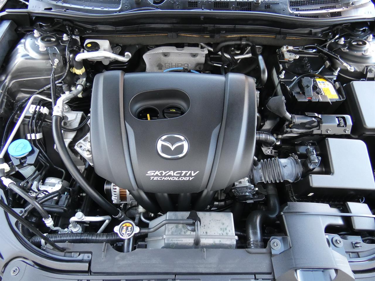 2019 Mazda AXELA